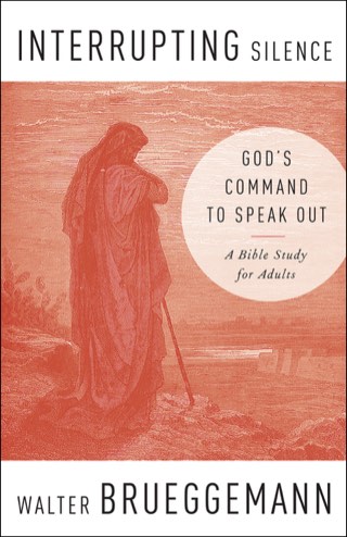 Cover of Interrupting Silence