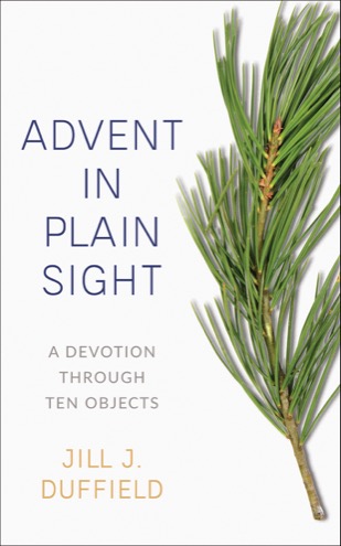 Cover of Advent in Plain Sight